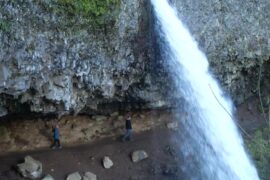 Visitors walking behind Ponytail Falls