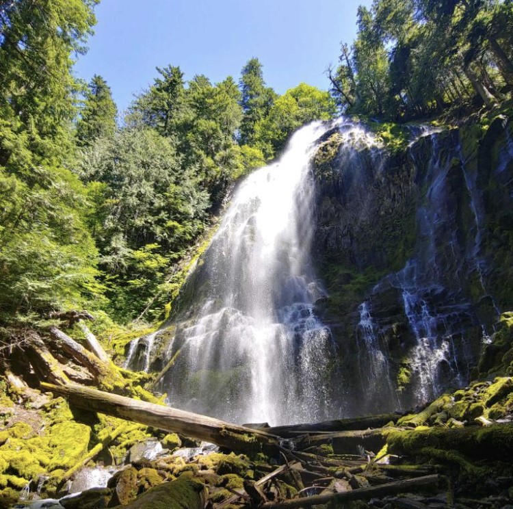 Proxy Falls in Oregon on a sunny day