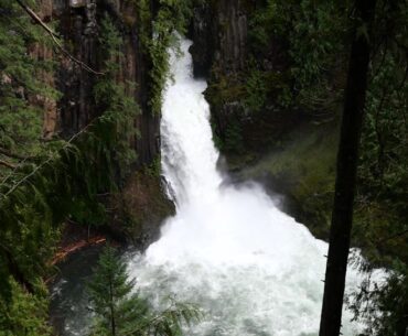 Toketee Falls in the Umpqua National Forest