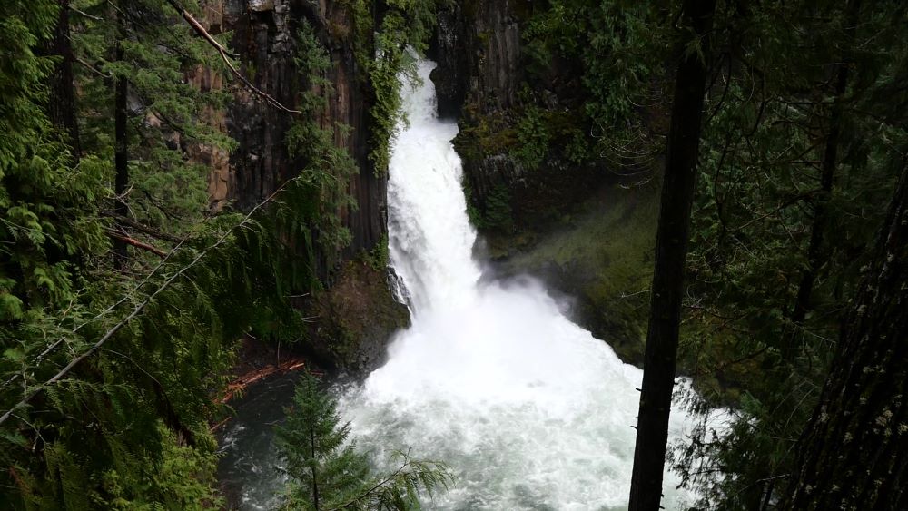 Toketee Falls in the Umpqua National Forest