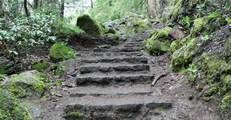 stairs on the trail to Toketee Falls