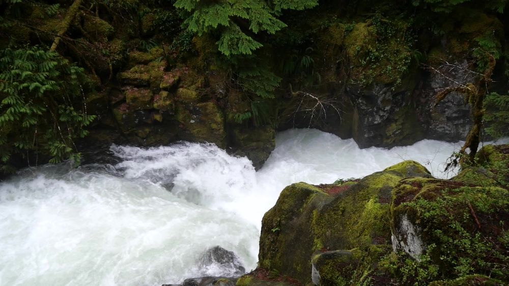 the Umpqua River just upstream of Toketee Falls.