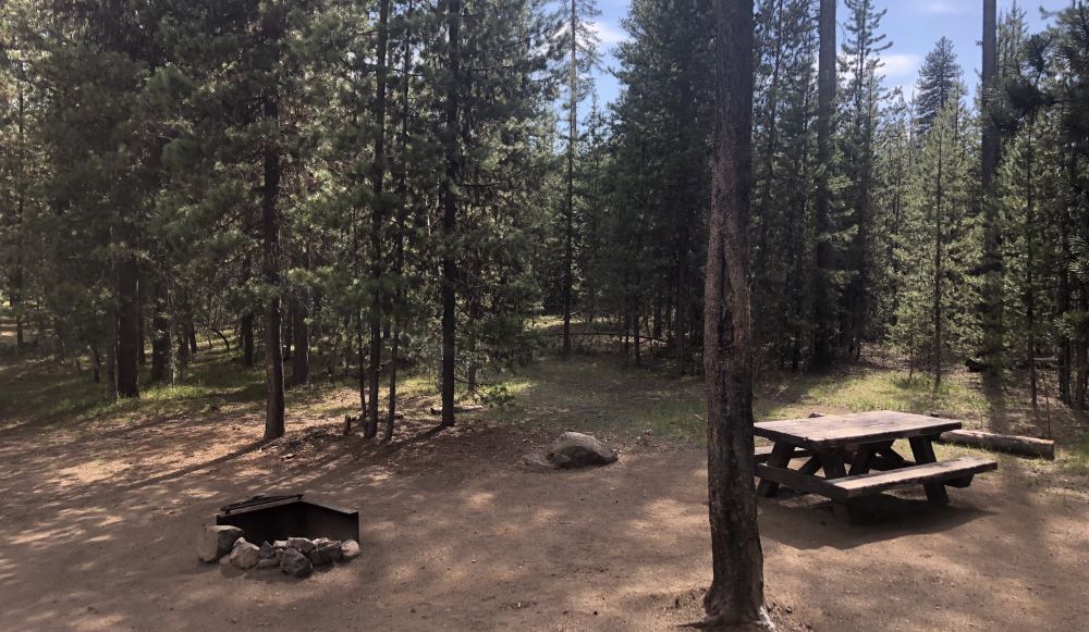 A campsite at Lava Lake Campground