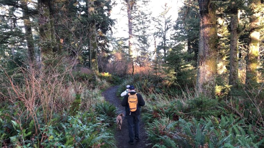 Hikers on the trail to Dead Man's Cove