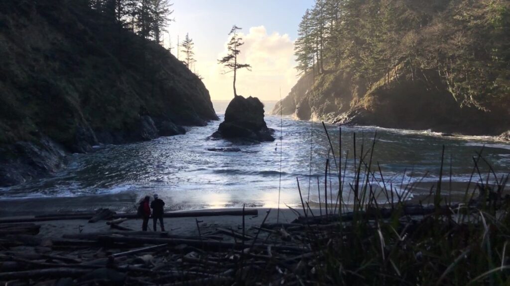 A view of Dead Man's Cove at sunset