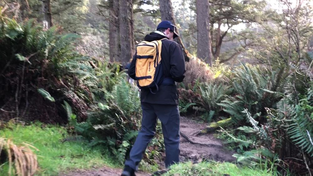 A hiker on the trail to Dead Man's Cove in Cape Disappointment State Park.