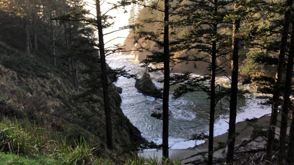 Looking down at Dead Man's Cove from the trail above.