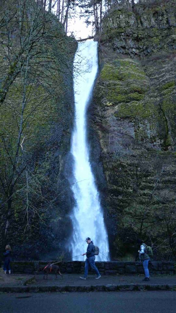 A visitor standing in front of Horsetail Falls.