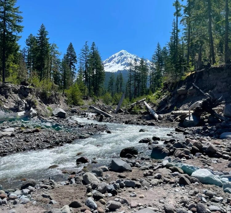 Views of the Sandy River with Mt. Hood in the background along the trail to Ramona Falls.