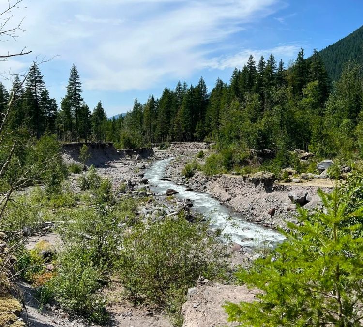 Views of the Sandy River along the way to Ramona Falls Oregon.