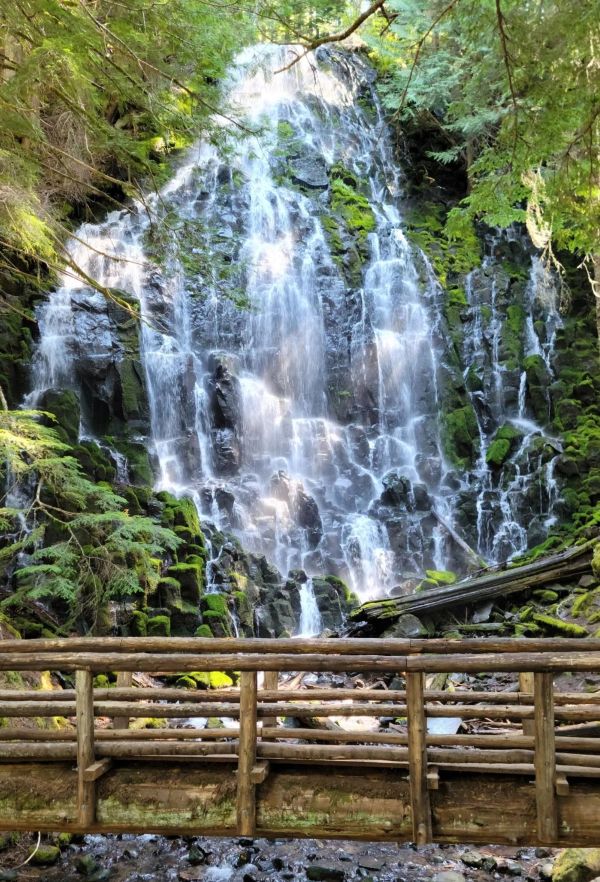 A beautiful view of Ramona Falls Oregon on a sunny morning.