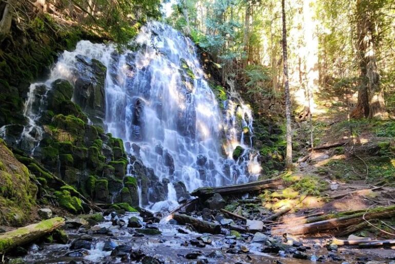 Sunshine filtering through the trees around Ramona Falls Oregon.