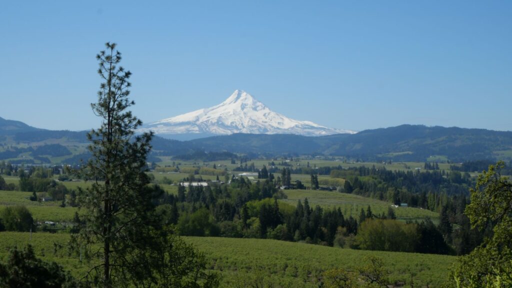 Views of the Hood River Valley and Mt. Hood from Panorama Point.
