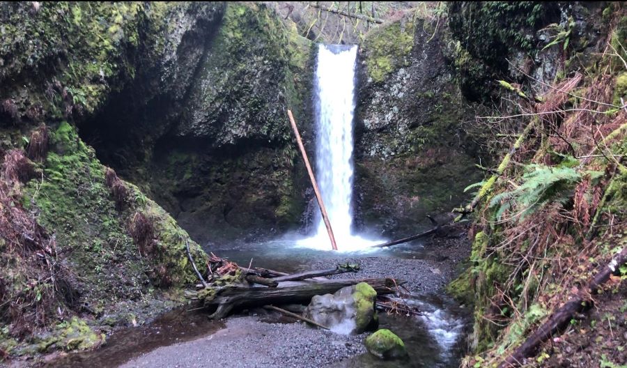 Wiesendanger Falls is one of the lesser-known waterfalls near Portland.