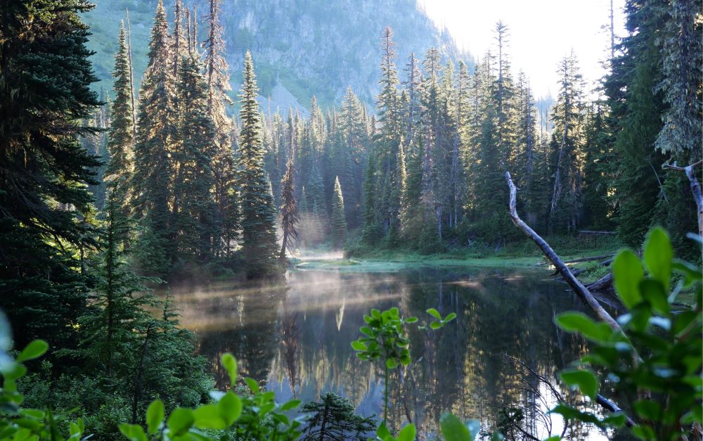 A beautiful lake catching its first sun of the day on the Wonderland Trail.