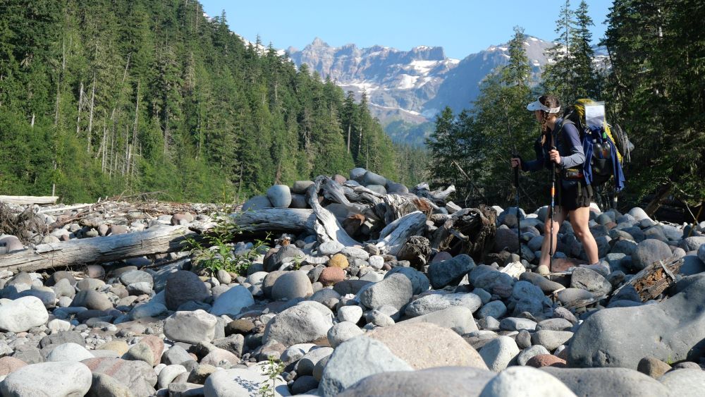 Abby getting some views from a dry riverbed on the Wonderland Trail.