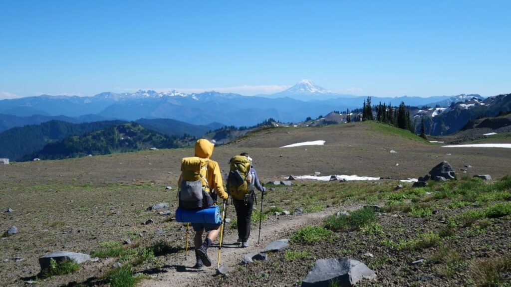 A stunning view on the Wonderland Trail.