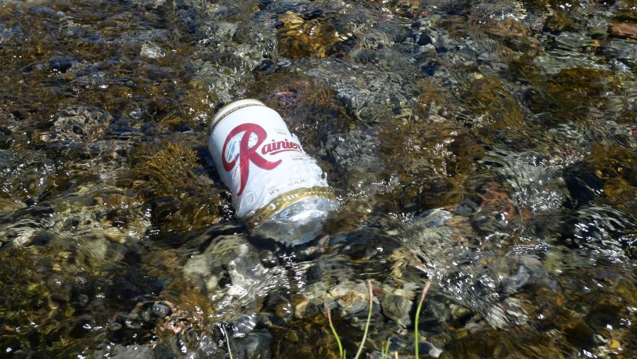 A Rainier beer we put in our cache that is cooling down in a stream.