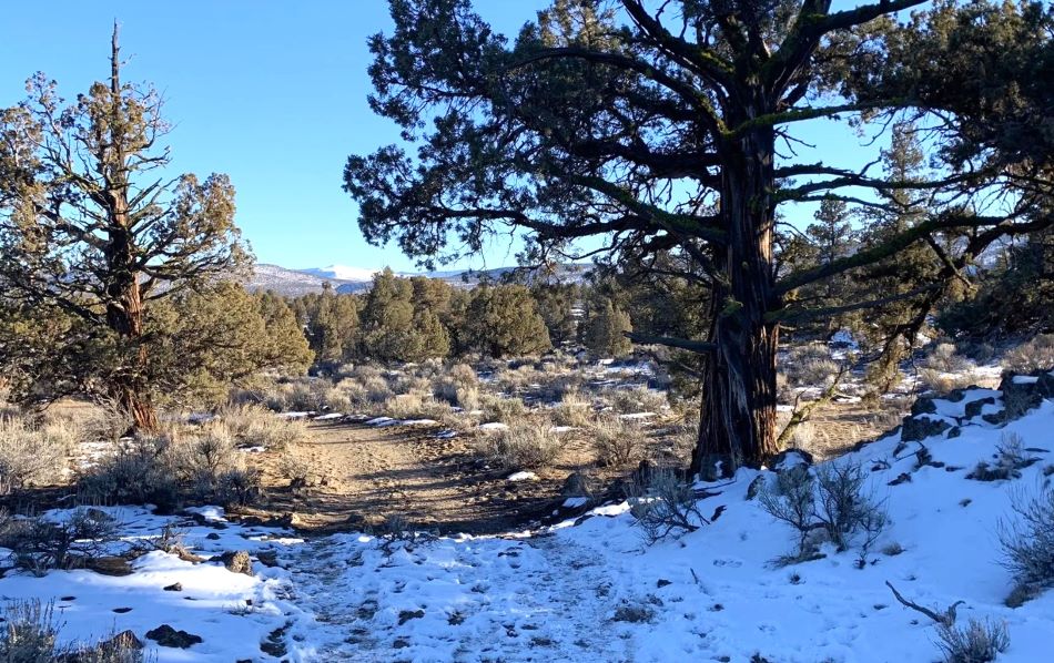 A partially snowy trail in the Oregon Badlands Wilderness.