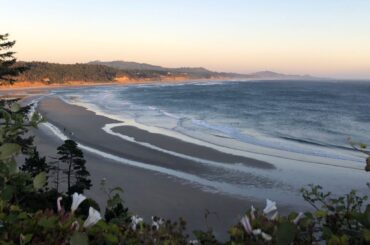 A view of Otter Rock Beach from Devil's Punchbowl State Natural Area.