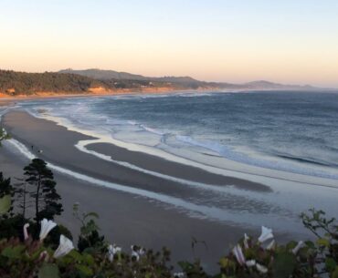 A view of Otter Rock Beach from Devil's Punchbowl State Natural Area.