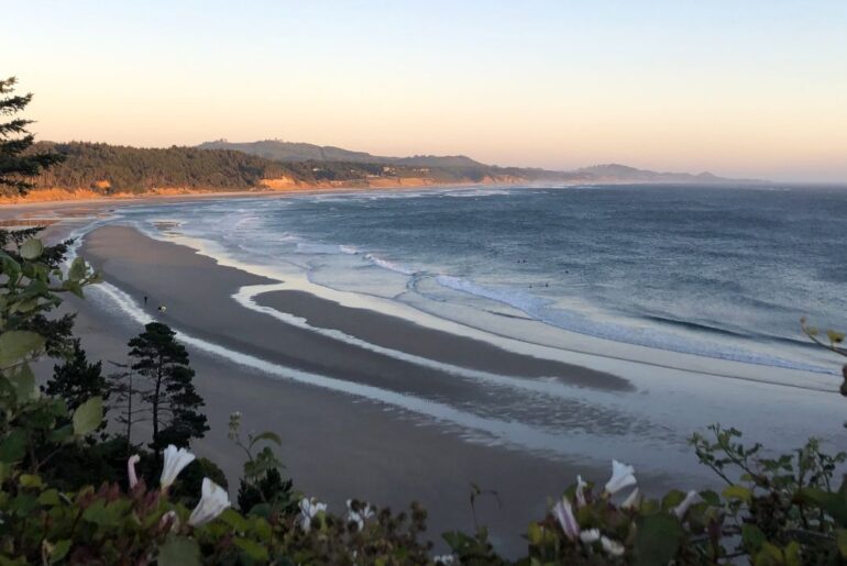 A view of Otter Rock Beach from Devil's Punchbowl State Natural Area.