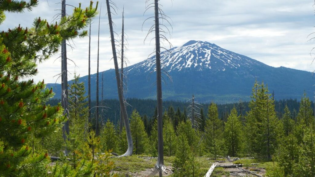 Views of Mt. Bachelor from a hiking trail near Elk Lake Oregon.