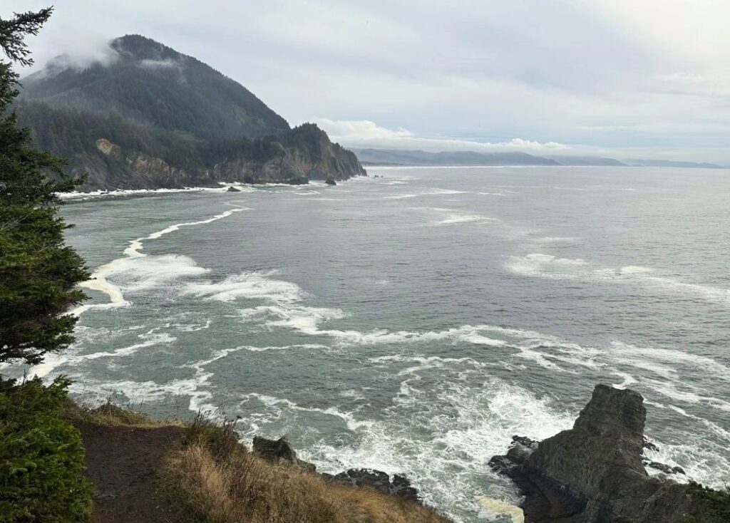 Views from the Cape Falcon Trail at Oswald West State Park. 