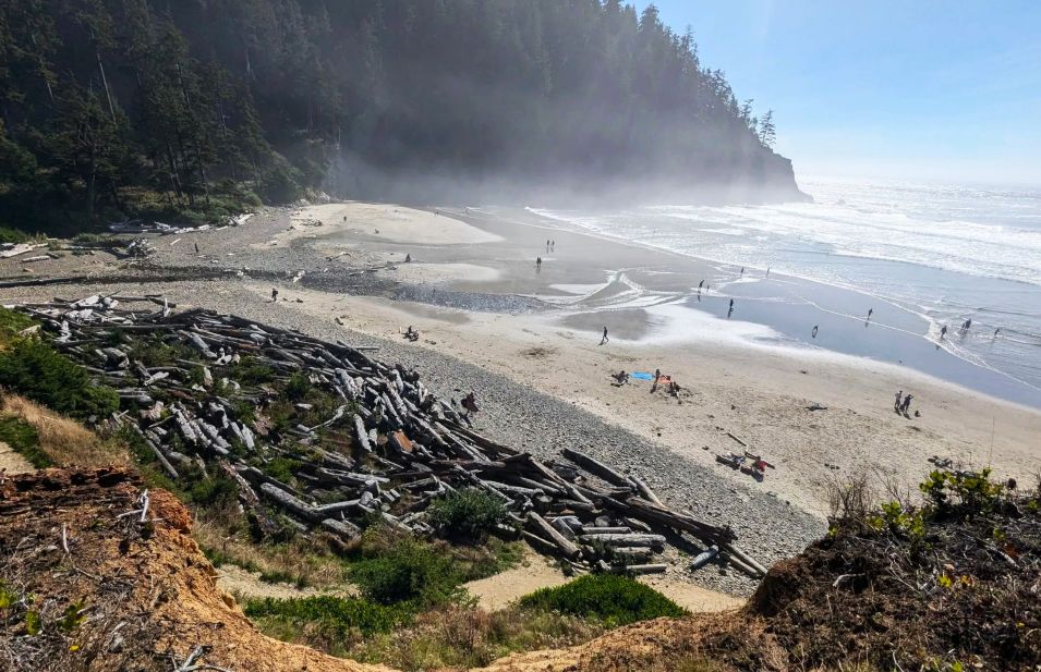 Views of Short Sand Beach from the Cape Falcon Trail at Oswald West State Park. 