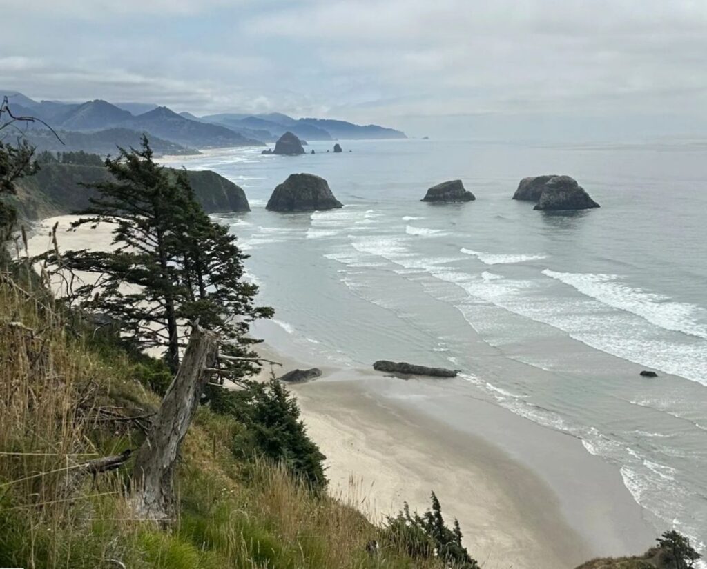 Views looking south from the Crescent Beach Trail in Ecola State Park.