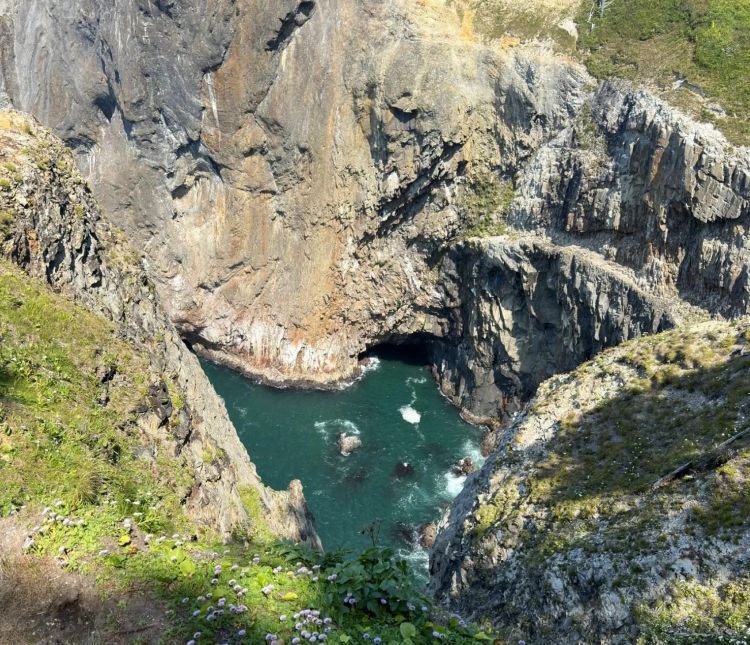 Looking down into the Devil's Cauldron in Oswald West State Park from a viewpoint.