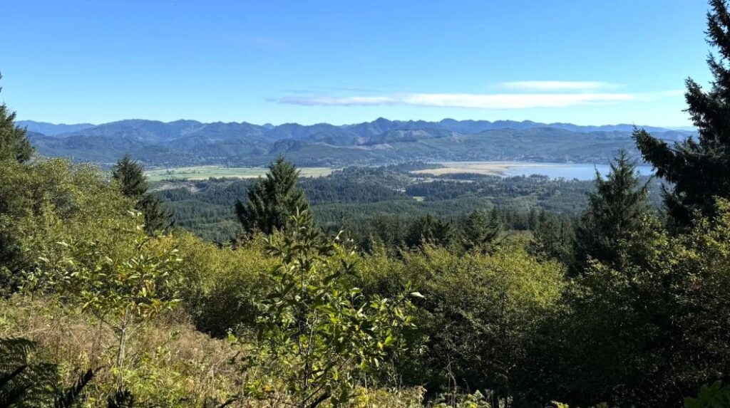 Views along the South Neahkahnie Mountain Trail.