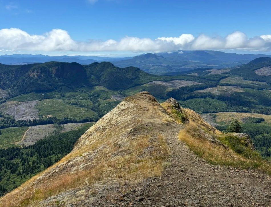 An epic viewpoint at the end of the Saddle Mountain Trail.