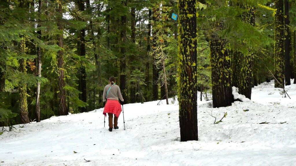 Abby hiking at Ten Mile Snow Park in the winter.