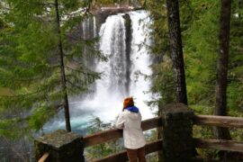 A visitor looking at Koosah Falls through the trees from a viewing area.