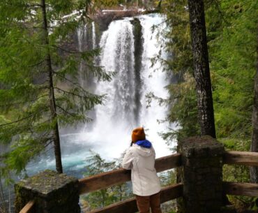 A visitor looking at Koosah Falls through the trees from a viewing area.